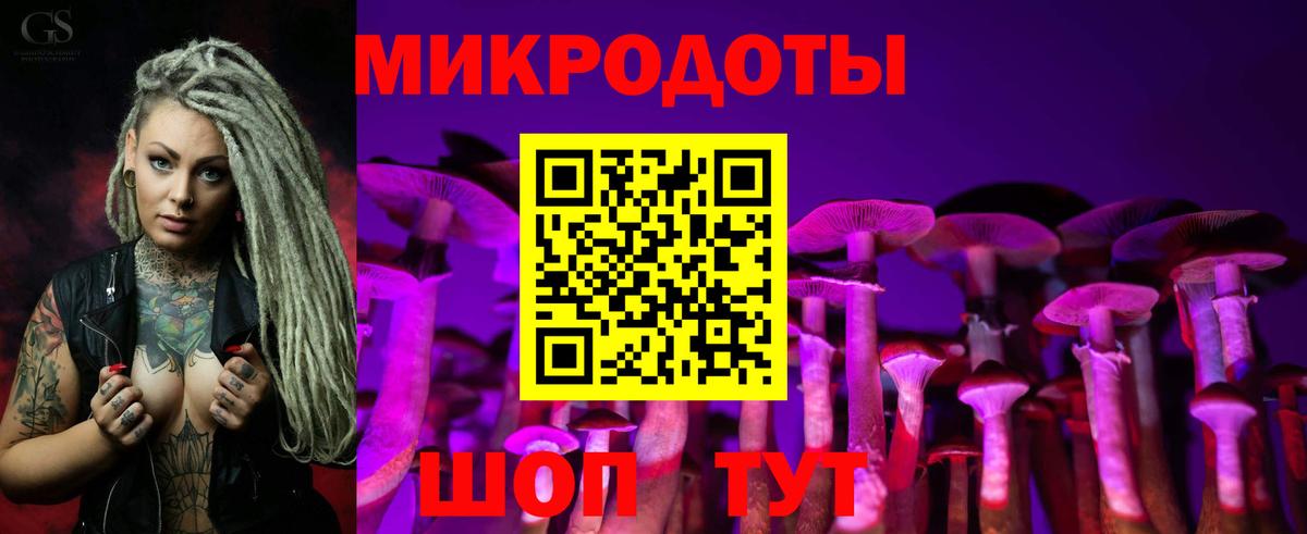 Борзя  Псилоцибиновые грибы GOLDEN TEACHER  Вход с VPN 
